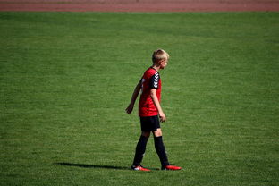 爱游戏-世界青年滑板锦标赛中国少年夺奖，青少年滑板联赛